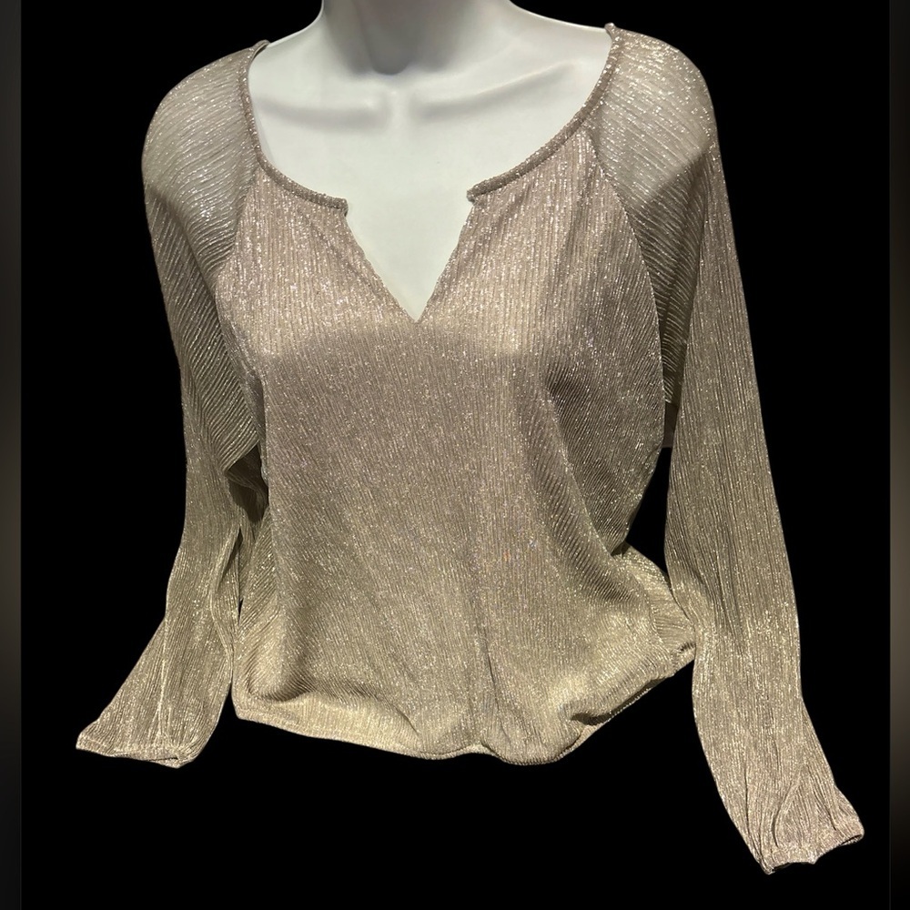 LIMITE Shimmer champagne long sleeve Blouse Sz Large